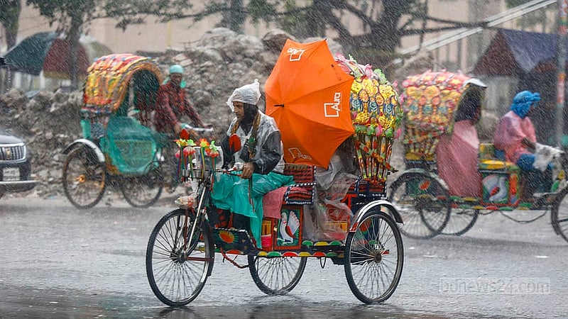 ঢাকায় মঙ্গলবার দুপুরে শাহবাগে ঝুম বৃষ্টির সঙ্গে ছিল দমকা হাওয়া
