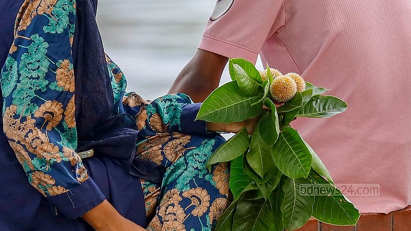 জ্যৈষ্ঠ মাসে গাছে ধরেছে কদম ফুল। সোমবার ঢাকার হাতিরঝিলে ঘুরতে আসা এক নারীর হাতে সময়ের আগেই আসা কদম