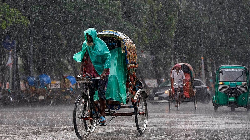 ঢাকা বিশ্ববিদ্যালয় এলাকায় বৃষ্টি থেকে বাঁচতে পলিথিন গায়ে এক রিকশাচালক