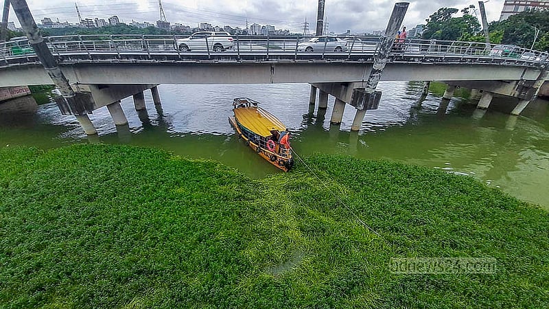 রাজধানীর পুলিশ প্লাজা সংলগ্ন হাতিরঝিলের বাড্ডা সংযোগ সেতুর নিচে জন্মানো জলজ আগাছা পরিষ্কার করছে ওয়াটার ট্যাক্সি কর্তৃপক্ষ