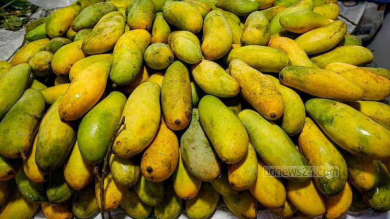 থাইল্যান্ডের হলুদ রঙের বানানা আম চাষ হচ্ছে ঝিনাইদহে। ফল প্রদর্শনীতে কেজিপ্রতি এ আম বিক্রি হচ্ছে ২৫০ টাকায়