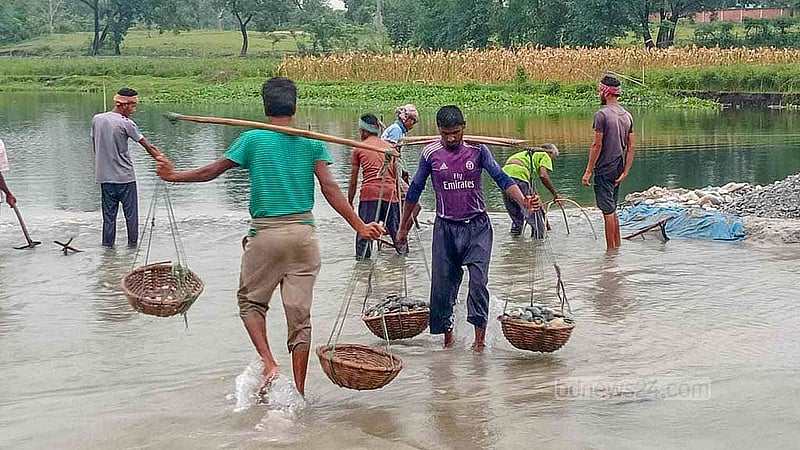 পঞ্চগড়ের তেঁতুলিয়া উপজেলার মহানন্দা ও ডাহুক নদীর পাথর সংগ্রহ করে জীবিকা চলে স্থানীয় অনেক মানুষের