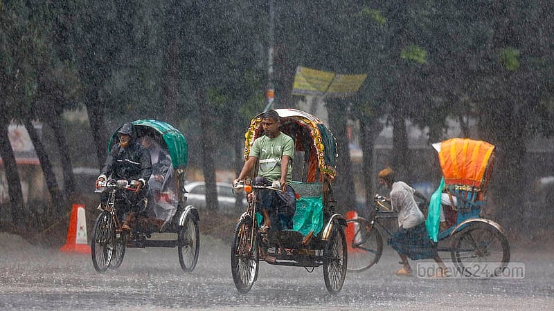 ঢাকা বিশ্ববিদ্যালয়ের টিএসসি এলাকায় রোববার দুপুরে বৃষ্টিতে ভোগান্তিতে পড়েন রিকশাচালকরা