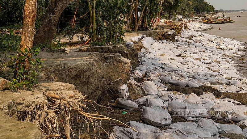 লৌহজংয়ের বড় নওয়াপাড়া এলাকায় নদীর পার ভেঙে বেরিয়ে আছে গাছের শিকড়। যেকোনো সময় গাছগুলো ভেঙে পড়তে পারে নদীতে। নতুন করে যেন না ভাঙে সেজন্য দেওয়া হয়েছে বালুভর্তি জিও ব্যাগ
