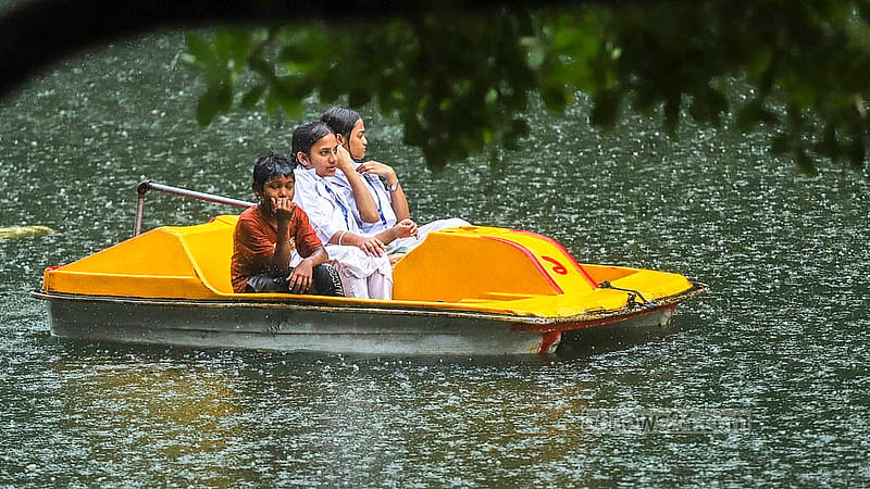 বিকালের ঝুম বৃষ্টির মধ্যে মঙ্গলবার রাজধানীর ধানমন্ডি লেকে ‘প্যাডেল বোটে’ ঘুরে বেড়ান শিক্ষার্থীরা