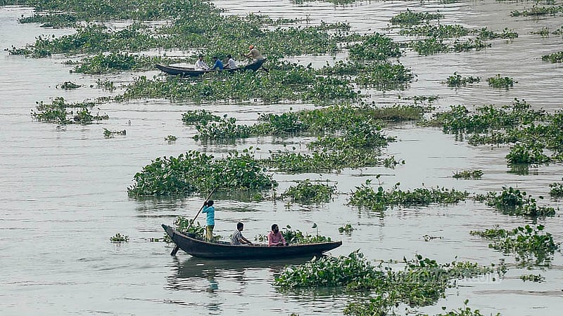 বুড়িগঙ্গায় কচুরিপানার মধ্যে দিয়ে যাত্রী নিয়ে চলাচল করছে খেয়া নৌকা