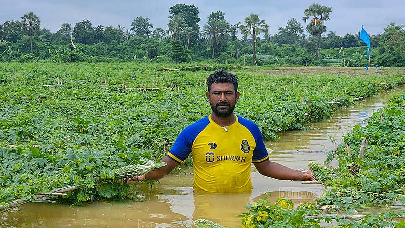 কুমিল্লা সদর উপজেলার আমতলী এলাকায় ডুবে যাওয়া সবজি ক্ষেতের মাঝে এক কৃষক