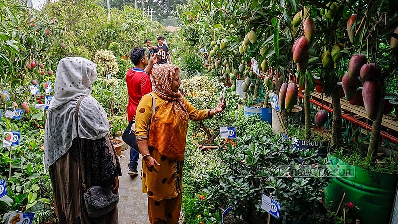 ঢাকার শেরে বাংলা নগরে রোববার জাতীয় বৃক্ষ মেলার একটি স্টলে দর্শনার্থীরা
