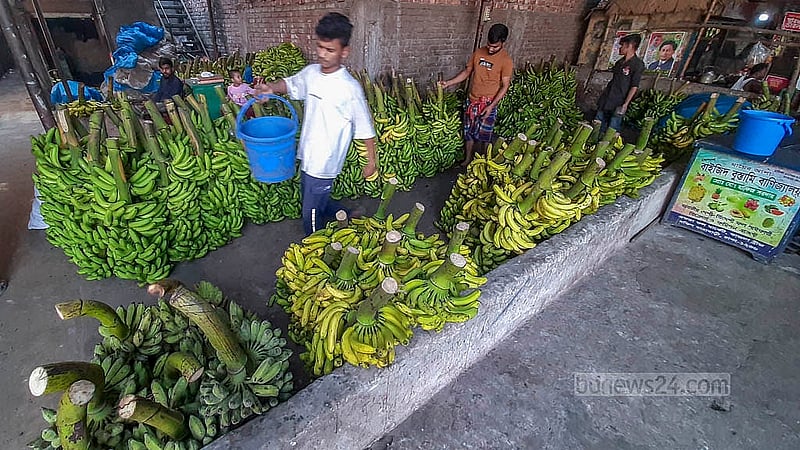 প্রতিটি দোকানের সামনে রাখা বালতিতে আছে কার্বাইড জাতীয় রাসায়নিক পদার্থ মিশ্রিত পানি। ক্রেতার চাহিদা অনুয়ায়ী কলায় দেওয়া হয় এই পানি, যা মানব শরীরের জন্য ক্ষতিকর