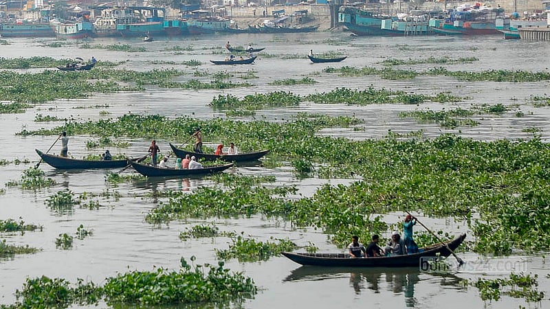 বুড়িগঙ্গা নদীতে কচুরিপানা বেড়ে যাওয়ায় যাত্রী পার করা খেয়া নৌকাগুলোর চলাচল ব্যাহত হচ্ছে। বৈঠা হাতে কচুরিপানা ঠেলে চলাচল করতে হচ্ছে মাঝিদের