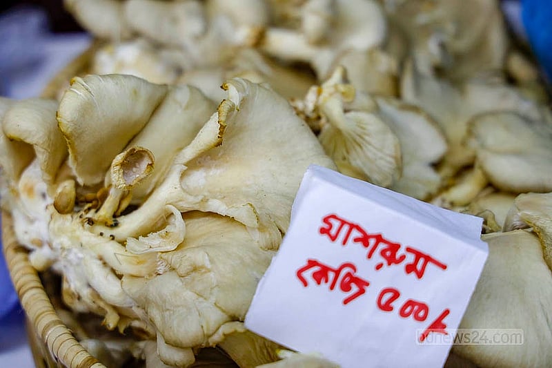 পাহাড়ে চাষ করা মাশরুম পার্বত্য মেলায় বিক্রি হচ্ছে ৫০০ টাকা কেজিতে