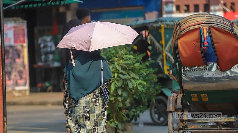 গ্রীষ্মের রোদ থেকে রেহাই পেতে অনেকে ব্যবহার করছেন ছাতা। শনিবার ঢাকা বিশ্ববিদ্যালয় এলাকা থেকে তোলা