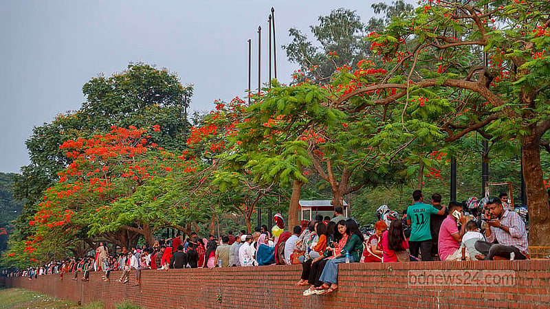 ঢাকা জিয়া উদ্যানের লেকের পাশে সারি সারি গাছে ফুটেছে কৃষ্ণচূড়া ফুল। সেটির নিচে বসেই শুক্রবার বিকালে আড্ডায় মাতেন দর্শনার্থীরা