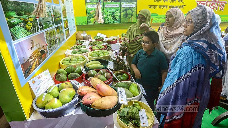 রাজধানীর কৃষিবিদ ইনস্টিটিউশনে জাতীয় ফল মেলার স্টলে ফল দেখছেন ক্রেতারা, পছন্দ হলে কিনছে অনেকেই