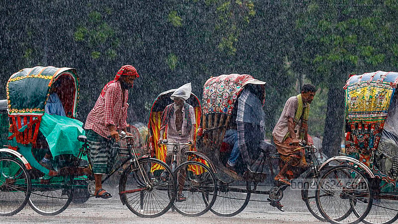 ঢাকা বিশ্ববিদ্যালয় এলাকায় আষাঢ়ী বৃষ্টির মধ্যে যাত্রী নিয়ে গন্তব্যের পথে রিকশাচালকরা