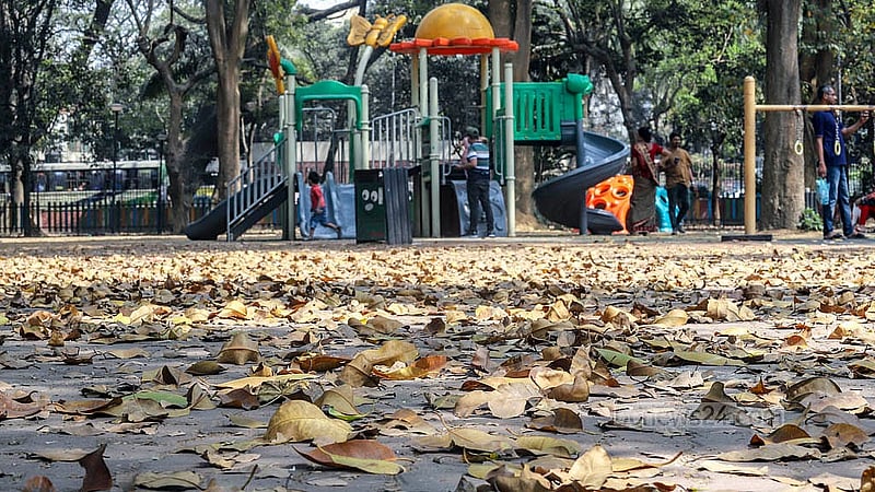 রমনা পার্কে হাঁটার পথ থেকে শুরু করে খোলা জায়গা- সবখানেই ছড়িয়ে আছে ঝরে পড়া হলুদ পাতা