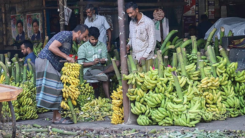 ঢাকা যাত্রাবাড়ী আড়তে ঘুরে ঘুরে কলা কিনছেন খুচরা ব্যবসায়ীরা