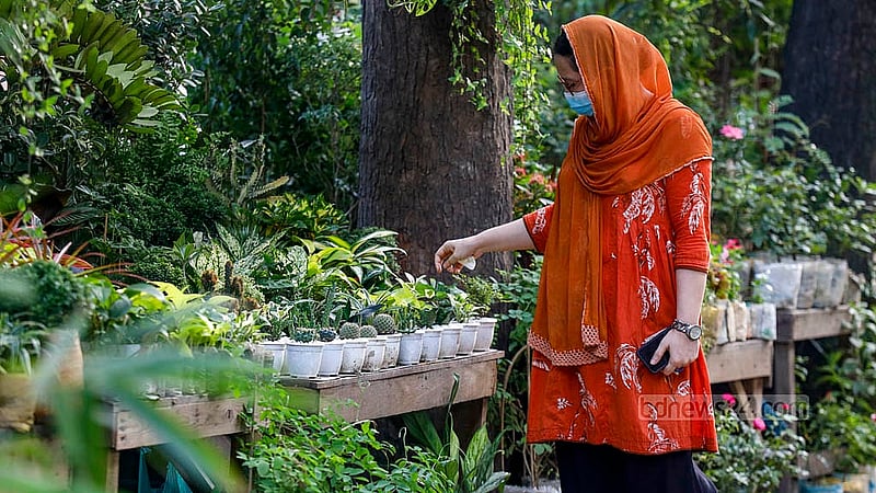 ঢাকা বিশ্ববিদ্যালয় এলাকায় কার্জন হলের দেয়াল ঘেঁষা ফুটপাতে পছন্দের গাছ বাছাই করছেন এক ক্রেতা