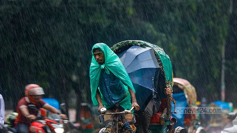 ঢাকা বিশ্ববিদ্যালয় এলাকায় বৃহস্পতিবার দুপুরে ঝুম বৃষ্টির মধ্যে পলিথিন মুড়িয়ে গন্তব্যের পথে এক রিকশাচালক