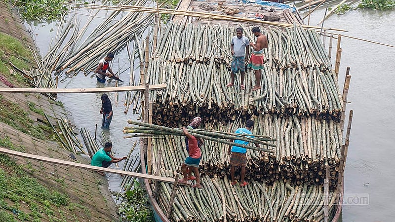 নারায়ণগঞ্জের তারাব এলাকায় শীতলক্ষ্যা নদীর পাড়ের বাঁশের বাজারে বেশিরভাগ বাঁশ নিয়ে আসা হয় নদীপথে