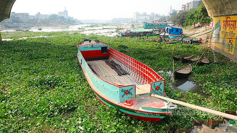 বর্ষা মৌসুম শেষে বুড়িগঙ্গা নদীতে পানি কমেছে, বেড়েছে কচুরিপানা। বাবুবাজার এলাকা থেকে তোলা