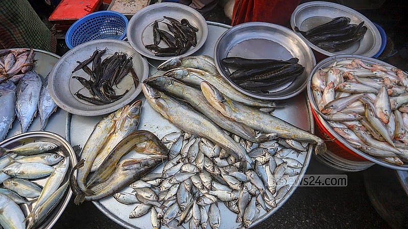 দেশিয় প্রজাতির নানা মাছে সয়লাব ঢাকার যাত্রাবাড়ী মাছের আড়ত
