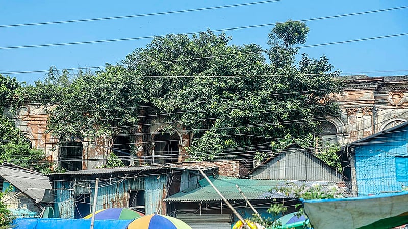 রূপলাল হাউজের দেয়ালে জন্মাচ্ছে আগাছা। ফলে ভবনটি হয়ে পড়েছে আরও ঝুঁকিপূর্ণ