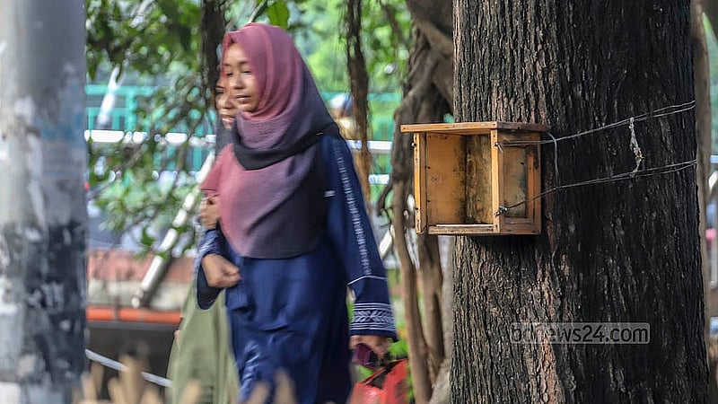রাজধানীর ধানমন্ডি লেকের দুই পাশে গাছ ও খুঁটিতে বসানো হয়েছিল বেশ কয়েকটি বুকসেলফ; যার অধিকংশই এখন খালি
