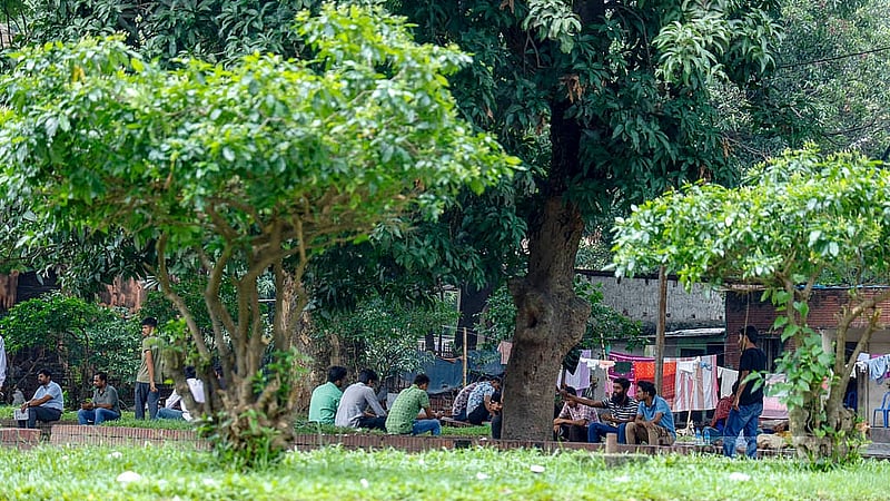 সোহরাওয়ার্দী উদ্যান বন্ধ থাকায় অনেক মাদকসেবী এখন ঢাকা বিশ্ববিদ্যালয়ের তিন নেতার মাজারকে বেছে নিয়েছেন