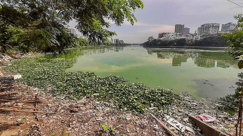 রাজধানীর গুলশান লেকের গুদারাঘাট সড়ক থেকে পুলিশ প্লাজা পর্যন্ত অংশে ভাসছে ময়লা-আর্বজনা