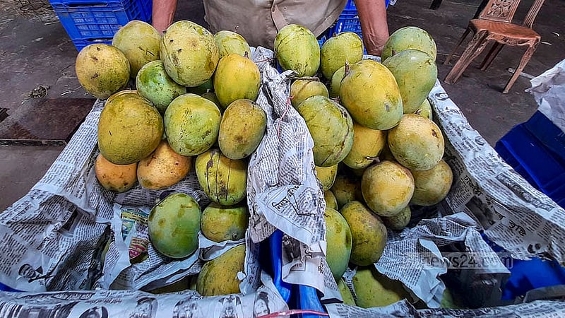 রাজধানীর যাত্রাবাড়ী ফলের আড়তে পাইকারিতে আকার ও জাতভেদে পাকা আম বিক্রি হচ্ছে ৪০ থেকে ১৫০ টাকা কেজি দরে