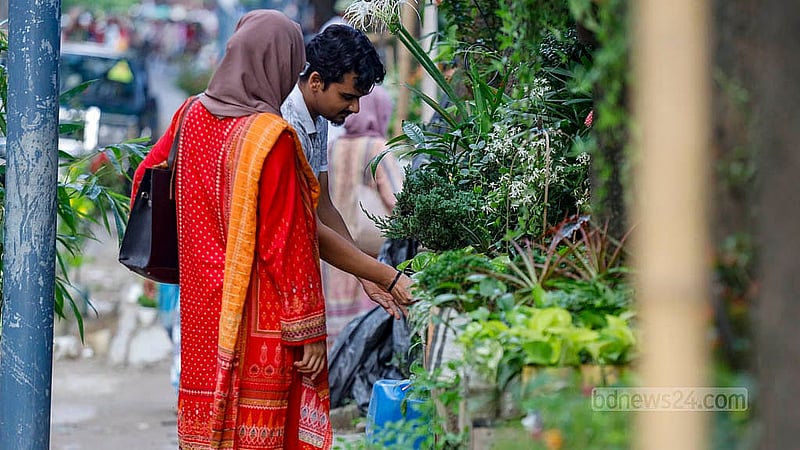 ঢাকা বিশ্ববিদ্যালয়ের কার্জন হল ও শিশু একাডেমির দেয়াল ঘেঁষা ফুটপাতের দোকানগুলো পাশাপাশি থাকায় ক্রেতারা ঘুরে ঘুরে নিজের পছন্দমত গাছ কিনতে পারছেন