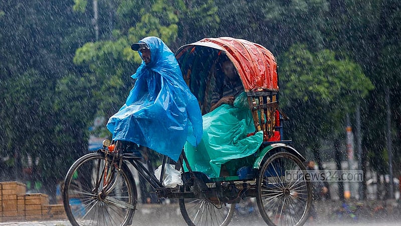 ঢাকা বিশ্ববিদ্যালয় এলাকায় সোমবার দুপুরে বৃষ্টির মধ্যে পলিথিন মুড়ে সড়কে চলছেন এক রিকশাচালক