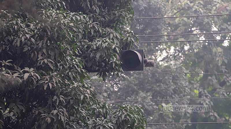 ঢাকার শিক্ষা ভবন মোড়ের ট্রাফিক সিগন্যাল বাতি ঢেকে গেছে গাছের পাতায়