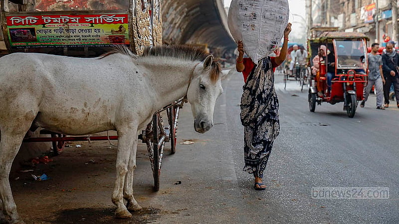 ঢাকার গুলিস্তানের বঙ্গবাজার এলাকায় সড়কের পাশে বেঁধে রাখা হয়েছে ঘোড়া