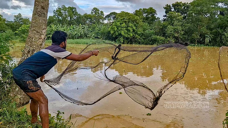 কুমিল্লার বাকশীমূল ইউনিয়নে বন্যার পানির মধ্যে মাছ ধরছে এক ব্যক্তি
