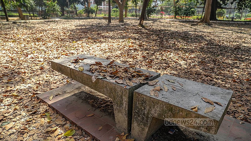 শীত শেষ হতে না হতেই ঝরছে গাছের পাতা। রাজধানীর রমনা পার্ক ছেয়েছে শুকনো পাতায়