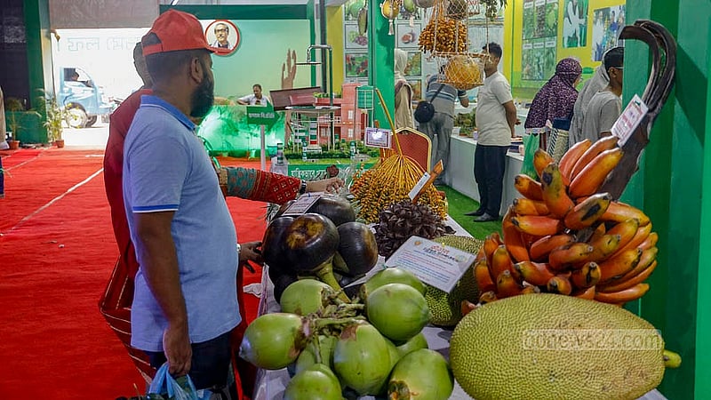 ঢাকার খামারবাড়িতে শুক্রবার জাতীয় ফল মেলার একটি স্টলে দর্শনার্থী