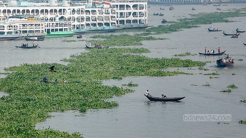 বুড়িগঙ্গা নদীতে কচুরিপানা বেড়ে যাওয়ায় যাত্রী পার করা খেয়া নৌকাগুলোর চলাচল ব্যাহত হচ্ছে। বৈঠা হাতে কচুরিপানা ঠেলে চলাচল করতে হচ্ছে মাঝিদের