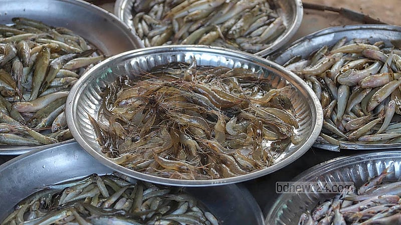 নারায়ণগঞ্জের সোনারগাঁওয়ের বৈদ্যেরবাজার নদীর মাছের জন্য বেশ পরিচিতি পেয়েছে