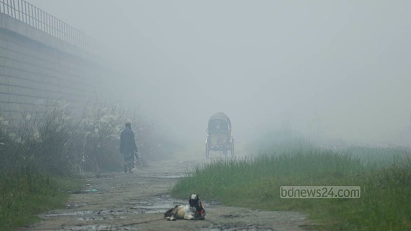 ঢাকার শ্যামপুর এলাকায় কলকারখানার ধোঁয়ায় দূষিত হচ্ছে আশপাশের পরিবেশ