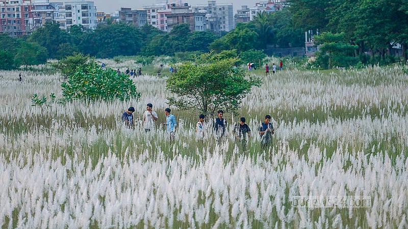 মোটরসাইকেল নিয়ে দূর-দূরান্ত থেকে ঢাকার দক্ষিণ কেরাণীগঞ্জের সারিঘাটের কাশবনে বেড়াতে আসছেন অনেকে