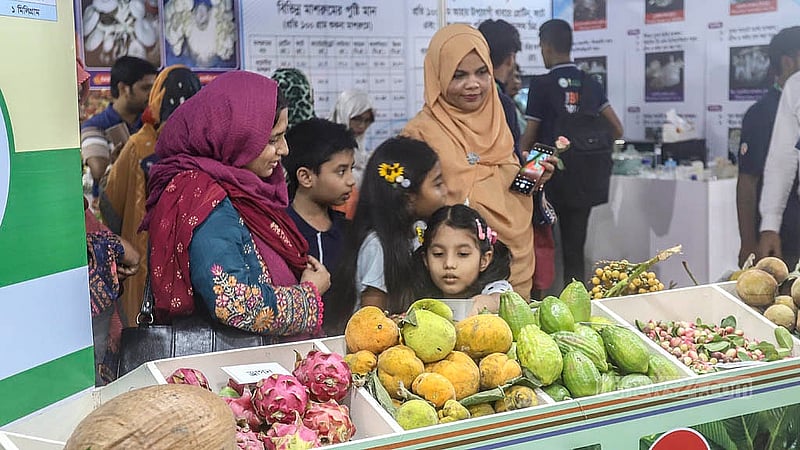ঢাকার কৃষিবিদ ইনস্টিটিউশনে জাতীয় ফল মেলার প্রথম দিন বৃহস্পতিবার বিভিন্ন স্টল ঘুরে দেখেন দর্শনার্থীরা