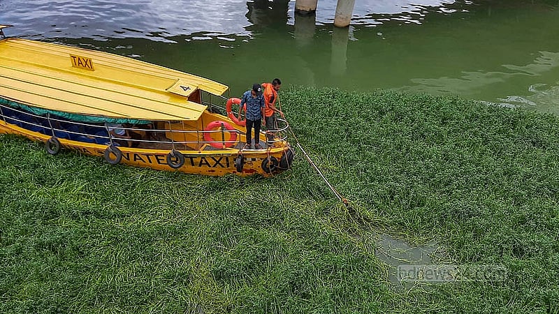 রাজধানীর পুলিশ প্লাজা সংলগ্ন হাতিরঝিলের বাড্ডা সংযোগ সেতুর নিচে জন্মানো জলজ আগাছা পরিষ্কার করছে ওয়াটার ট্যাক্সি কর্তৃপক্ষ