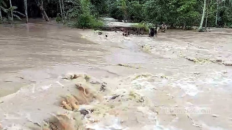 ঢল ও বৃষ্টির পানির তোড়ে ভেঙেছে সড়ক। 