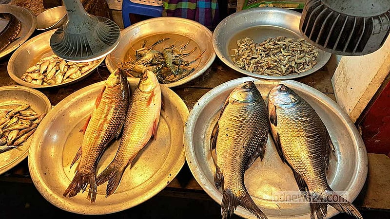 সামান্য ওঠা-নামা থাকলেও মাছের দাম আগের সপ্তাহের মত।