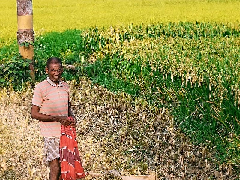 জসেব মার্ডি