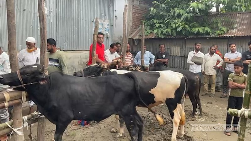 বাগরি হাটে ক্রেতার অপেক্ষায় আছেন গরু নিয়ে আসা ব্যবসায়ী সুমন (লাল গেঞ্জি পরিহিত)। 