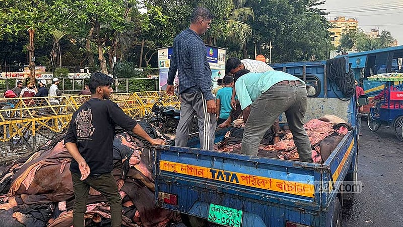 রাজধানীর সায়েন্সল্যাব এলাকায় চামড়া সংগ্রহ করে তোলা হচ্ছে পিকআপ ভ্যানে।