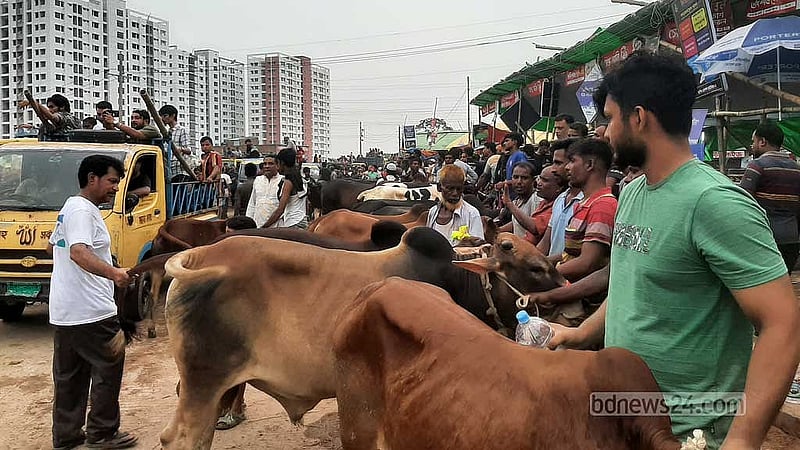 ক্রেতারা বলছেন, শনিবার আগের চেয়ে দাম কম বলেছেন বিক্রেতারা, যে কারণে তাদের পক্ষে দাম বলা সহজ হয়েছে।